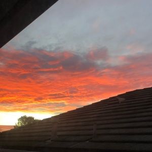 Meet your Posher, Mollyclaire